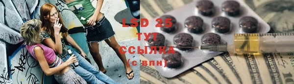 PSILOCYBIN Бородино
