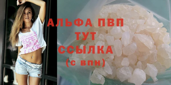 PSILOCYBIN Бородино