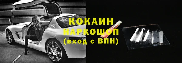 PSILOCYBIN Бородино