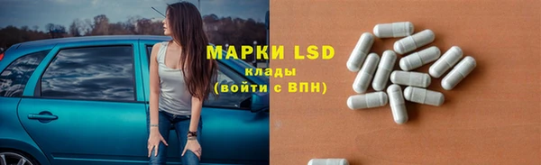 PSILOCYBIN Бородино