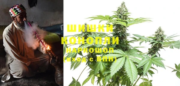 PSILOCYBIN Бородино