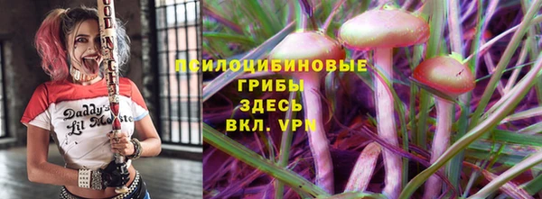 PSILOCYBIN Бородино